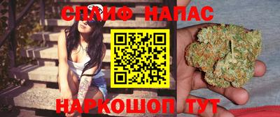 трава Новозыбков