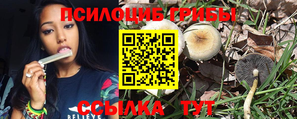 Псилоцибиновые грибы MAGIC MUSHROOMS Рязань